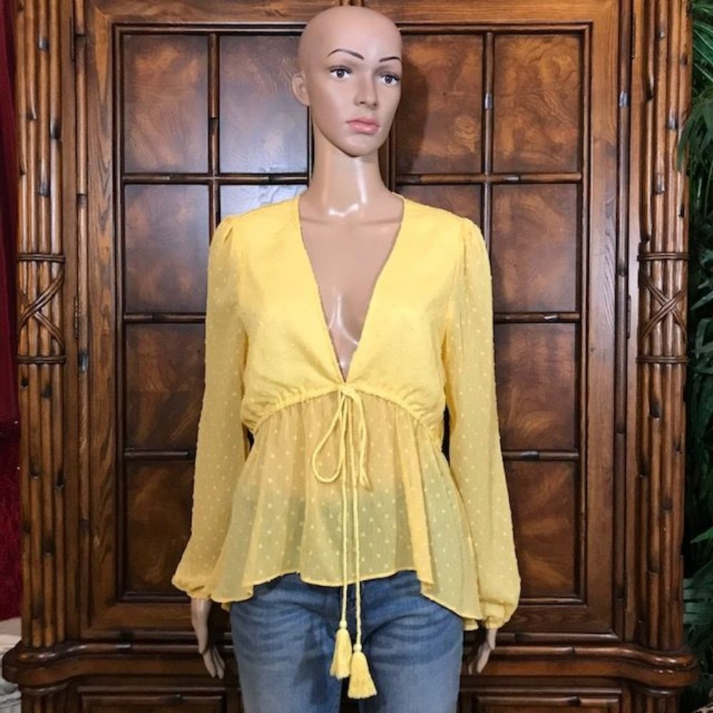 Canary Swiss Dot Sheer Tassel Lantern Sleeve Blouse